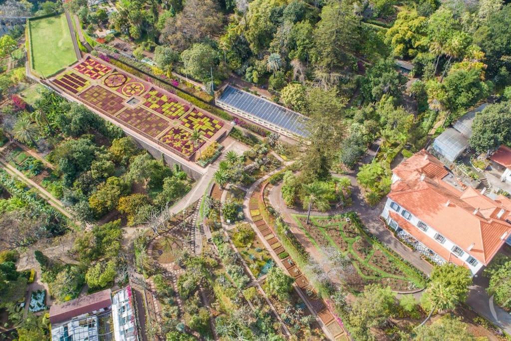 フンシャル Garden Houseヴィラ エクステリア 写真